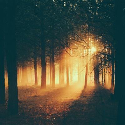 梦幻模拟战b站客户端下载